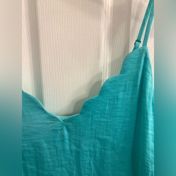 Naked Zebra Dress - Picture 2 of 4